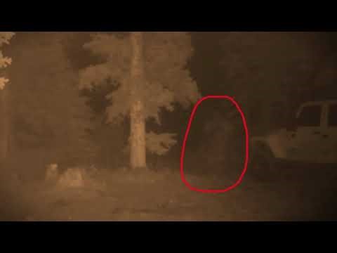 Strange Ruby Falls Hominid Like Creature Captured on Trail Camera Video in Alberta