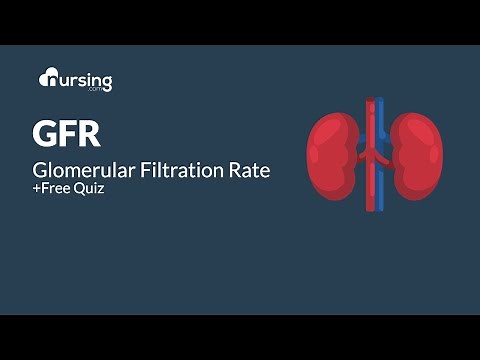Glomerular Filtration Rate [GFR] Lab Value for Nurses + Free Quiz