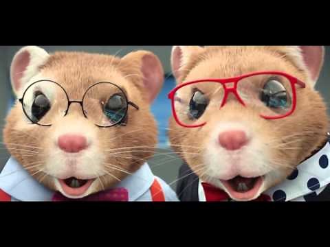 Coughlin Kia | 2015 Soul EV Hamster Commercial Featuring Animals by Maroon 5 MTV VMAs YouTube