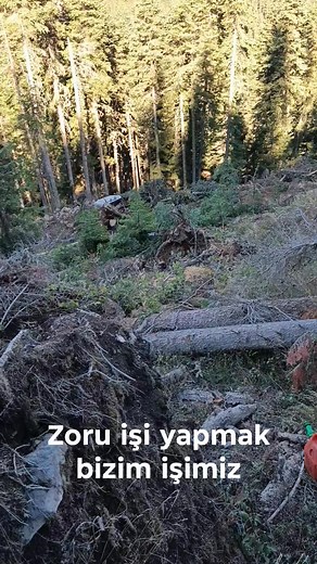 Fehmi Geyik on Reels