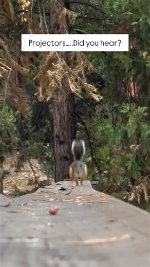 Human Design Projectors on Instagram: "The word is finally out. You don’t want to miss this. IHDS Certified Living Your Design Training. Link in bio for more details. Game Changer!"