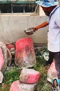 The best technologies on the planet #3 | Phoo Phoo