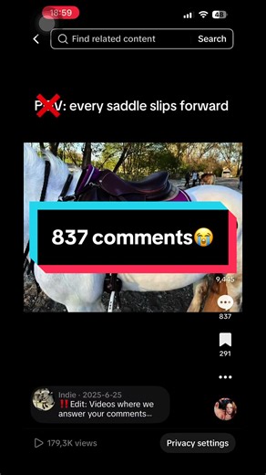 Indie's Tack Trials: Equestrian Setup Testing