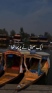 Splendid view of dal lake ❤️ | Nature Creativity