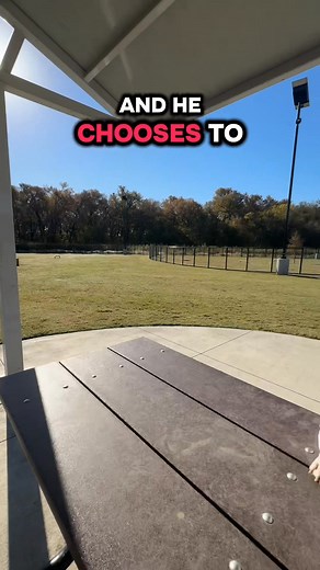 I found a new dog for Shadow to try out and this is what he does. #dogpark #beaglemom #mischief | Ariel N. Isaac