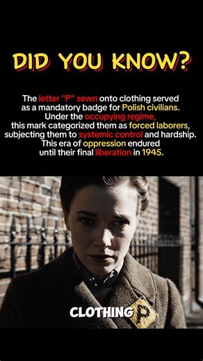 The Mark of Shame: Why Poles Wore the Letter "P"🛡️ #history #military #ww2 #shorts