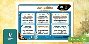 KS1 Owl Babies Descriptive Word Mat Ages 5-7