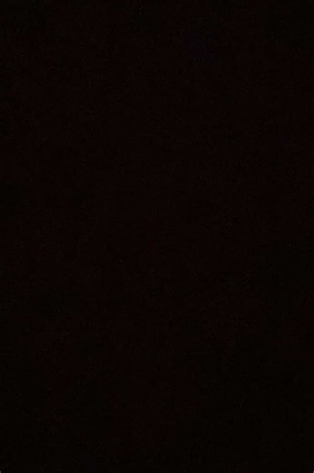 Language Learning Tips for Beginners