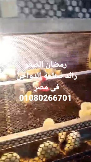 20K views · 165 reactions | رمضان الصعو on Reels | Facebook