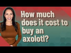 How much does it cost to buy an axolotl?
