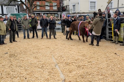 Melton Mowbray Market on Reels