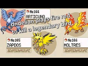 fire: moltres + articuno killed in cold blood