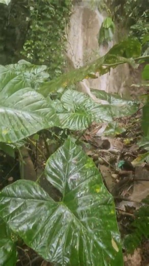 #5 Moment of Silence