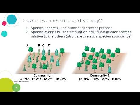 Biodiversity 2: Measuring Community Biodiversity
