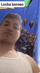 Locha borneo sucker #fish #aquarium #locha | Ralfish Acuarismo