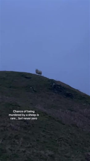 #stitch with @Anchored & Adrift it runs in the family don’t worry 😭❤️ #fyp #sheep #family
