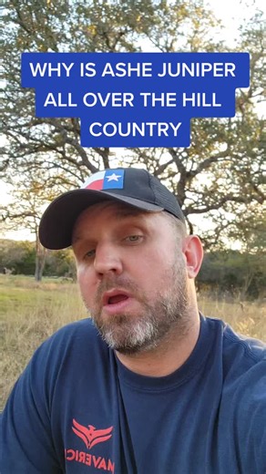 Understanding Ashe Juniper's Invasive Spread in Texas