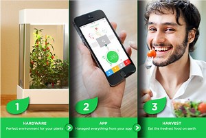 New Invention - Niwa: The world's first smartphone-controlled growing system
