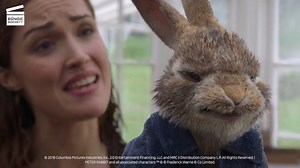 3.3K views · 47 reactions | He is jealous of a rabbit  | Binge Society - Comedy | Facebook