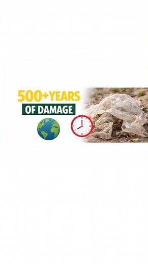 Plastic vs Biodegradable Bags | Truth You Must Know🌍#plasticvsbiodegradable#green#ecofriendlyliving