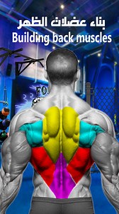 تمارين بناء عضلات الظهر Back muscle building exercises #FoRma_GYM #workout #bodybuilding #exercise #reels #فتنس #جيم #backworkouts #gym | GYM Forma