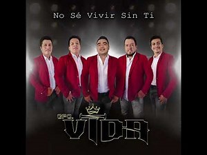 Grupo Vida - No sé vivir sin ti