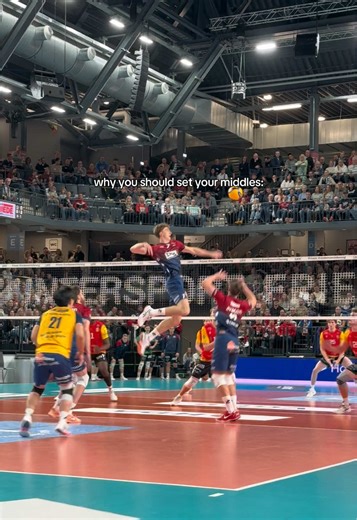 I mean … look at that!😌 #volleyball #svglüneburg #volleyballworld #haikyuu #fyp