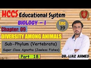 Vertebrata | Super Class Agnatha (Jawless Fishes) |Part 18 |Chapter 9 | 1ST YEAR | Dr. IJAZ | LEC#39
