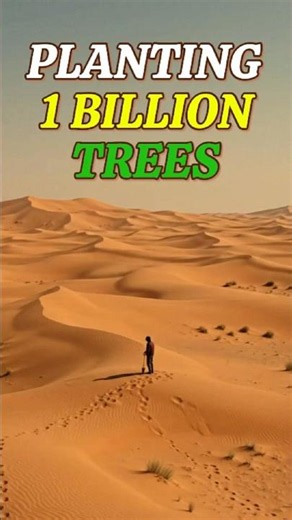 They Tried to Stop a Desert With Trees… It Actually Worked😱