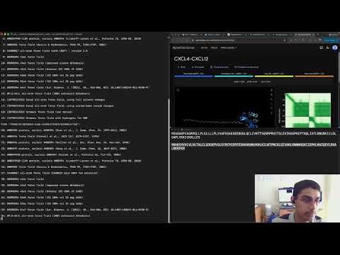 From Sequence to Simulation: AlphaFold3 to MD Simulation (GROMACS) Workflow for a Heterodimer