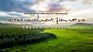 "All beings flourish when they live in harmony and receive...