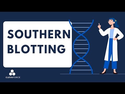Southern Blotting​