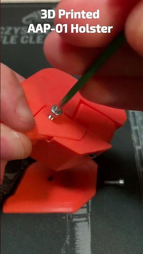 AAP-01 Holster Assembly