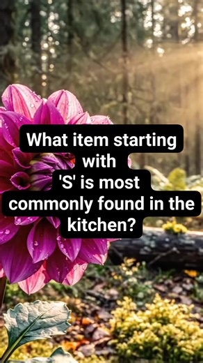 #riddlesforkids #riddles #riddlemethis #riddletime #riddleoftheday | HeYou