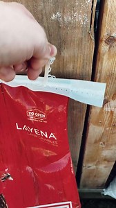 28K views · 226 reactions | Thinking about raising backyard chickens? You’re in for a treat. From watching them strut over for feed to collecting colorful eggs, your family will love raising backyard chickens. Just check out this day-in-the-life from Purina superfan @fivemilecreekfarm. Ready for backyard happiness? Visit our chick resource center for everything you need to know to get started! : Caryn P., Fivemile Creek Farm | Purina Flock | Facebook