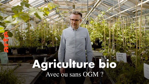 Les questions qui fâchent - Agriculture bio : avec ou sans OGM ? - Regarder le documentaire complet