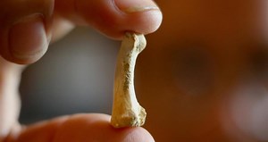 Evidence Of Real-Life Hobbits Found In Ancient Cave On Remote Philippine Island