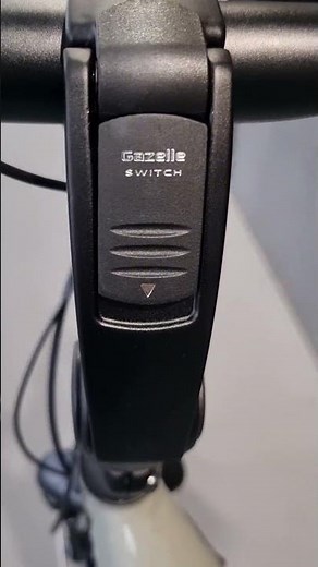 New! Gazelle Grenoble c7+ with New purion 200 display!