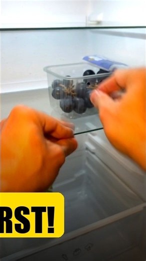Store Grapes LIKE THIS for Weeks!