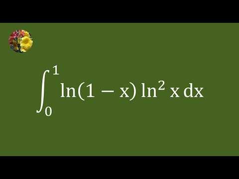 A Gentle Walk Through a Beautiful Logarithmic Integral