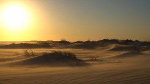 In Emerald Isle, the sun always finds a way to give you warmth! Have you planned your family's fall getaway? ☀️ 😊 https://bit.ly/3i5iLB0 #emeraldislenc #fall #thecrystalcoast | Emerald Isle Realty, Inc.