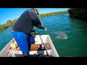 Pesca con caña, linea y atarraya enormes capturas, robalos y camarones