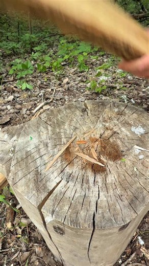 HowTo Outdoors on Instagram: "Using a Hatchet 🪓"