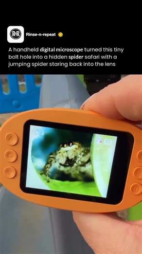 The World Inside A Bolt Hole 🕷️