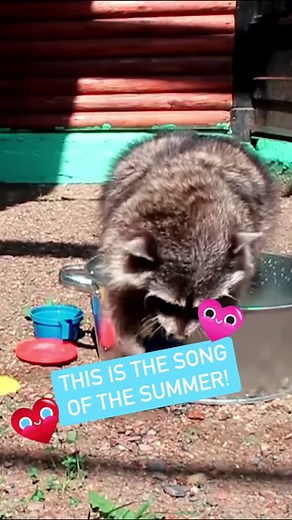 Pets make a techno song! 😹✨🎶 | The Pet Collective