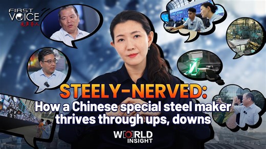 Steely-nerved: How a Chinese special steel maker thrives through ups, downs