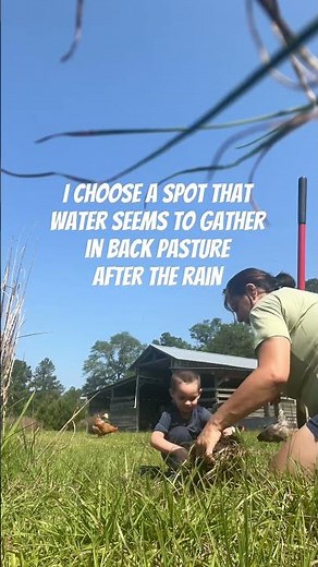 Toddler Pees on a Tree treeplanting #toddlers #farmkids #funny #boymom #alfapandaacres