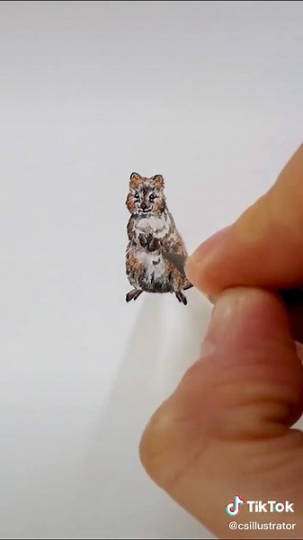Drawing a Quokka: The Happiest Animal on Earth