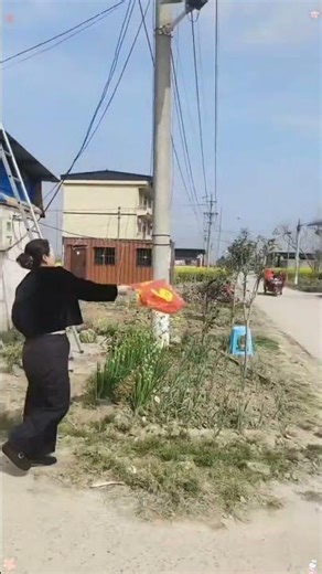 10 Best Chinese Dishes You Must Try