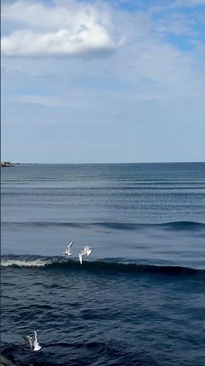 Relaxing Ocean Sounds 🌊 | Sea Waves ASMR for Deep Sleep & Calm Mind